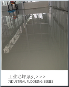 ��ݸ˽����̽